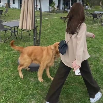 女人不坏，男人不爱